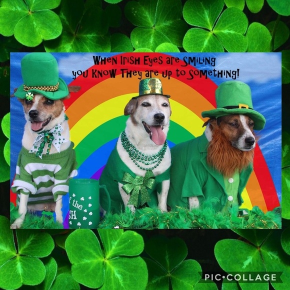 ππ» Doggie Antics π»π - Picture 3 of 3